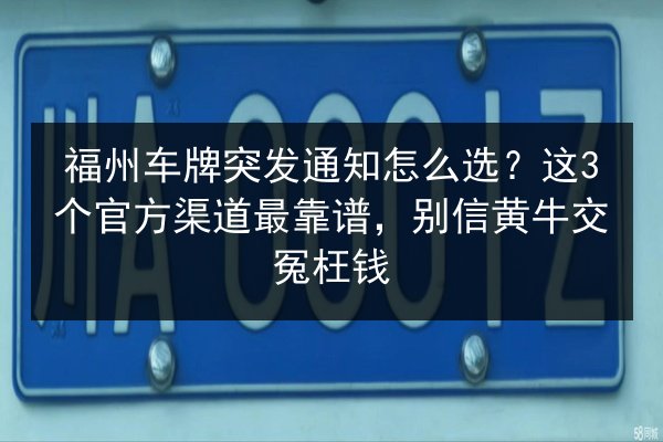 福州车牌突发通知怎么选？这3个官方渠道最靠谱，别信黄牛交冤枉钱 第2张