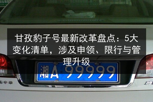 甘孜豹子号最新改革盘点：5大变化清单，涉及申领、限行与管理升级