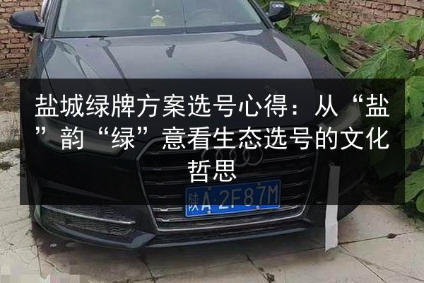 盐城绿牌方案选号心得：从“盐”韵“绿”意看生态选号的文化哲思