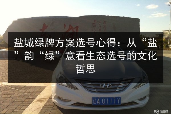 盐城绿牌方案选号心得:从“盐”韵“绿”意看生态选号的文化哲思 第2张 盐城绿牌方案选号心得:从“盐”韵“绿”意看生态选号的文化哲思 第2张