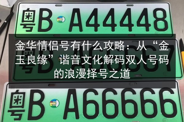 金华情侣号有什么攻略：从“金玉良缘”谐音文化解码双人号码的浪漫择号之道 第2张