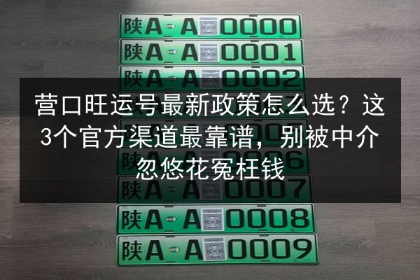 营口旺运号最新政策怎么选?这3个官方渠道最靠谱,别被中介忽悠花冤枉钱 第3张 营口旺运号最新政策怎么选?这3个官方渠道最靠谱,别被中介忽悠花冤枉钱 第3张