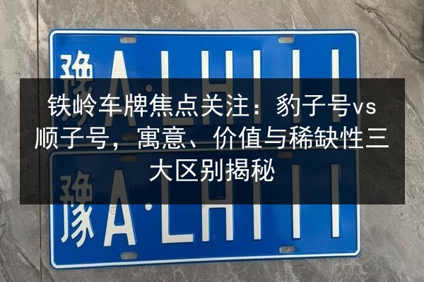 铁岭车牌焦点关注：豹子号vs顺子号，寓意、价值与稀缺性三大区别揭秘 第2张