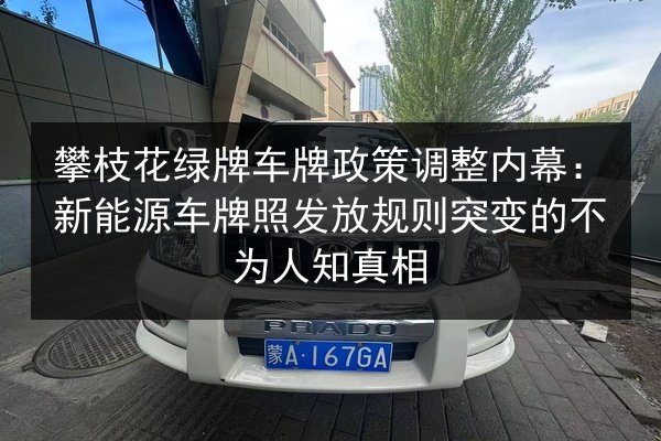攀枝花绿牌车牌政策调整内幕：新能源车牌照发放规则突变的不为人知真相