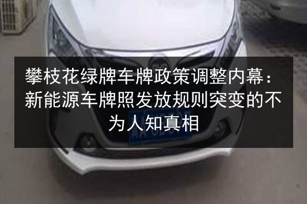 攀枝花绿牌车牌政策调整内幕：新能源车牌照发放规则突变的不为人知真相 第2张