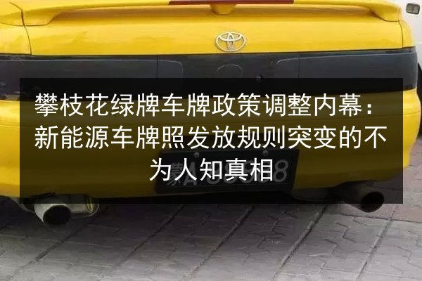 攀枝花绿牌车牌政策调整内幕：新能源车牌照发放规则突变的不为人知真相 第3张
