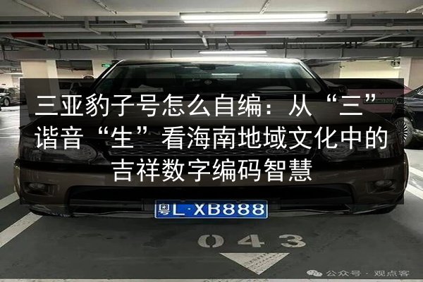 三亚豹子号怎么自编：从“三”谐音“生”看海南地域文化中的吉祥数字编码智慧 第1张