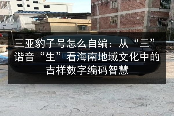 三亚豹子号怎么自编：从“三”谐音“生”看海南地域文化中的吉祥数字编码智慧 第2张