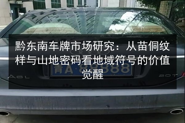 黔东南车牌市场研究：从苗侗纹样与山地密码看地域符号的价值觉醒 第2张