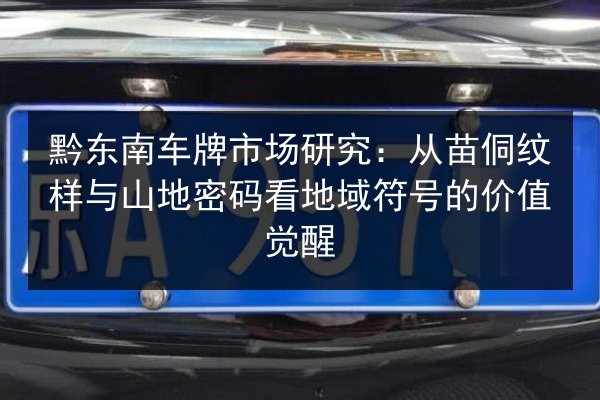 黔东南车牌市场研究：从苗侗纹样与山地密码看地域符号的价值觉醒 第3张