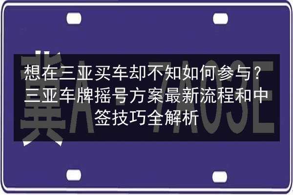 想在三亚买车却不知如何参与？三亚车牌摇号方案最新流程和中签技巧全解析 第2张