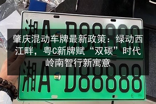 肇庆混动车牌最新政策:绿动西江畔,粤C新牌赋“双碳”时代岭南智行新寓意 第2张 肇庆混动车牌最新政策:绿动西江畔,粤C新牌赋“双碳”时代岭南智行新寓意 第2张
