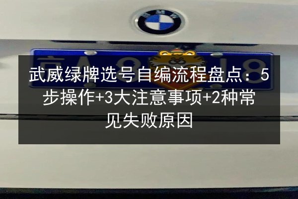 武威绿牌选号自编流程盘点：5步操作+3大注意事项+2种常见失败原因 第2张