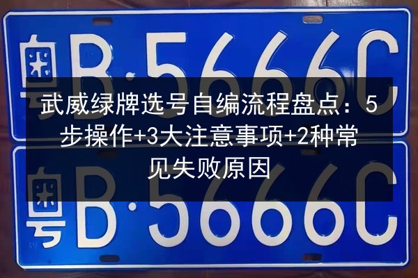 武威绿牌选号自编流程盘点：5步操作+3大注意事项+2种常见失败原因 第3张