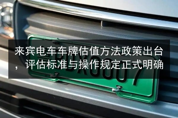来宾电车车牌估值方法政策出台，评估标准与操作规定正式明确 第2张