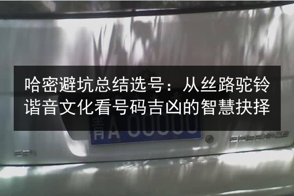 哈密避坑总结选号：从丝路驼铃谐音文化看号码吉凶的智慧抉择
