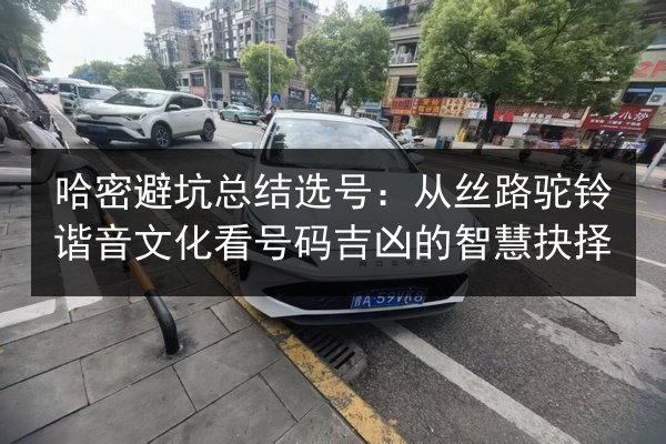 哈密避坑总结选号：从丝路驼铃谐音文化看号码吉凶的智慧抉择 第2张