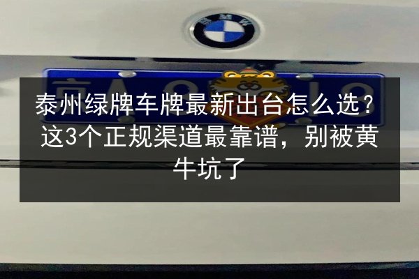 泰州绿牌车牌最新出台怎么选？这3个正规渠道最靠谱，别被黄牛坑了