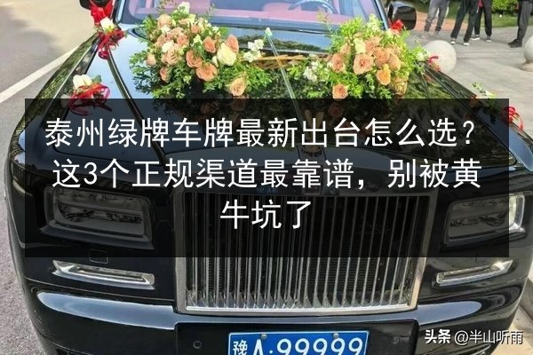 泰州绿牌车牌最新出台怎么选?这3个正规渠道最靠谱,别被黄牛坑了 第2张 泰州绿牌车牌最新出台怎么选?这3个正规渠道最靠谱,别被黄牛坑了 第2张