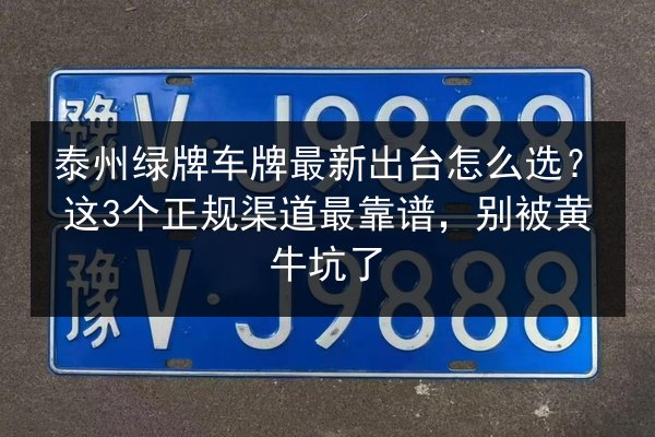 泰州绿牌车牌最新出台怎么选?这3个正规渠道最靠谱,别被黄牛坑了 第3张 泰州绿牌车牌最新出台怎么选?这3个正规渠道最靠谱,别被黄牛坑了 第3张