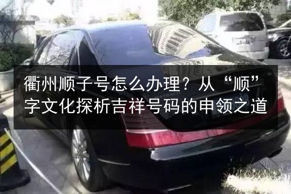 衢州顺子号怎么办理?从“顺”字文化探析吉祥号码的申领之道 第2张 衢州顺子号怎么办理?从“顺”字文化探析吉祥号码的申领之道 第2张
