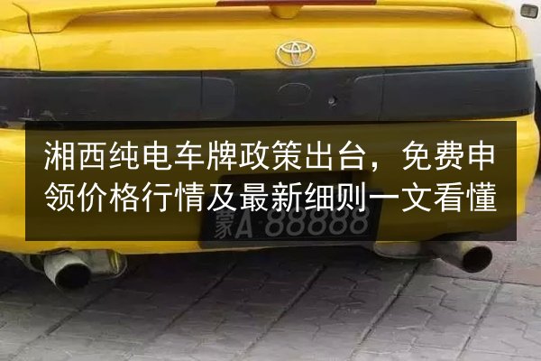 湘西纯电车牌政策出台，免费申领价格行情及最新细则一文看懂