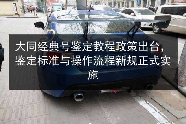 大同经典号鉴定教程政策出台，鉴定标准与操作流程新规正式实施