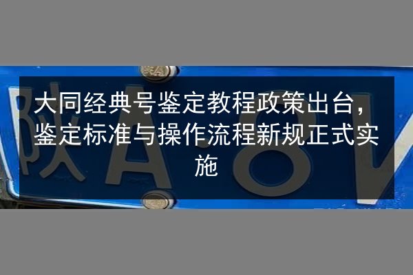 大同经典号鉴定教程政策出台,鉴定标准与操作流程新规正式实施 第2张 大同经典号鉴定教程政策出台,鉴定标准与操作流程新规正式实施 第2张