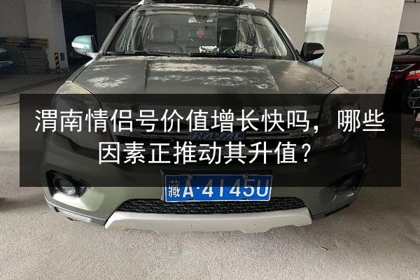 渭南情侣号价值增长快吗，哪些因素正推动其升值？