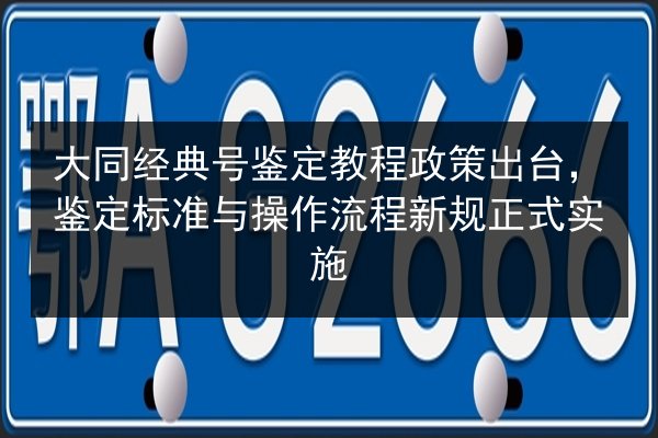 大同经典号鉴定教程政策出台,鉴定标准与操作流程新规正式实施 第3张 大同经典号鉴定教程政策出台,鉴定标准与操作流程新规正式实施 第3张