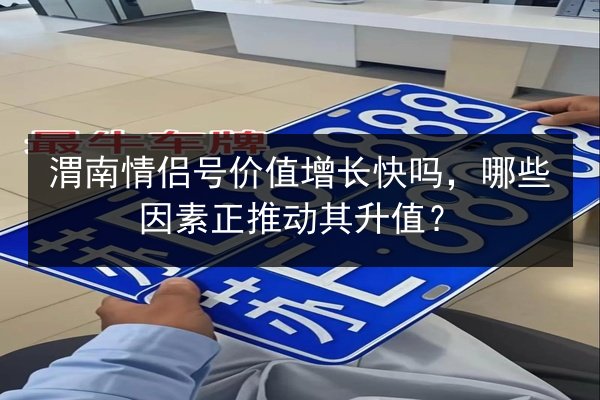 渭南情侣号价值增长快吗,哪些因素正推动其升值? 第2张 渭南情侣号价值增长快吗,哪些因素正推动其升值? 第2张