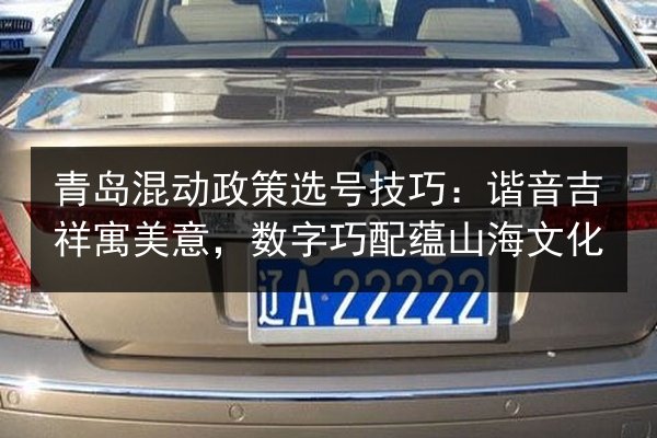 青岛混动政策选号技巧：谐音吉祥寓美意，数字巧配蕴山海文化 第2张