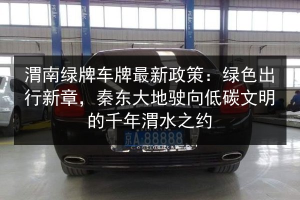 渭南绿牌车牌最新政策:绿色出行新章,秦东大地驶向低碳文明的千年渭水之约 第3张 渭南绿牌车牌最新政策:绿色出行新章,秦东大地驶向低碳文明的千年渭水之约 第3张