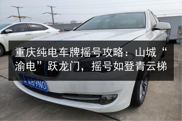 重庆纯电车牌摇号攻略:山城“渝电”跃龙门,摇号如登青云梯 第2张 重庆纯电车牌摇号攻略:山城“渝电”跃龙门,摇号如登青云梯 第2张