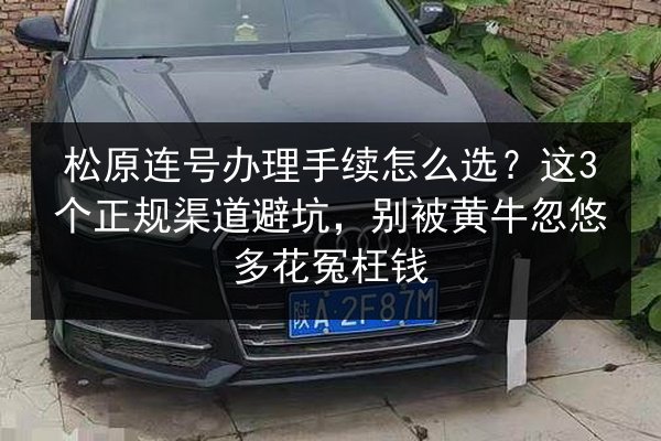 松原连号办理手续怎么选？这3个正规渠道避坑，别被黄牛忽悠多花冤枉钱 第2张