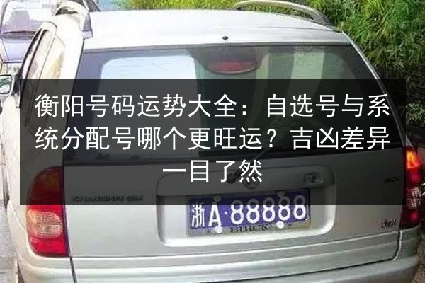 衡阳号码运势大全：自选号与系统分配号哪个更旺运？吉凶差异一目了然 第2张
