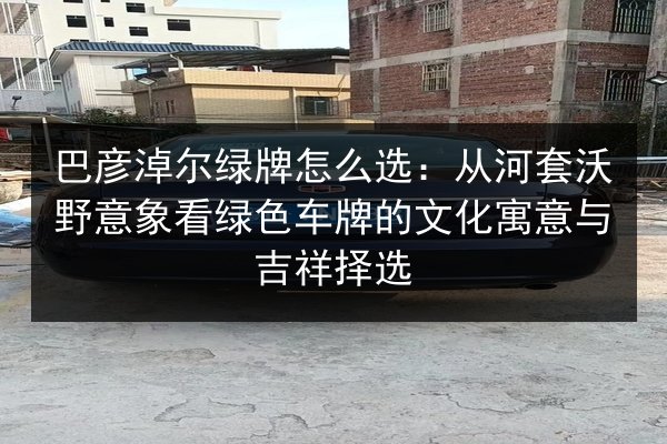 巴彦淖尔绿牌怎么选：从河套沃野意象看绿色车牌的文化寓意与吉祥择选