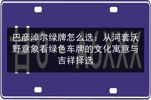 巴彦淖尔绿牌怎么选：从河套沃野意象看绿色车牌的文化寓意与吉祥择选 第2张