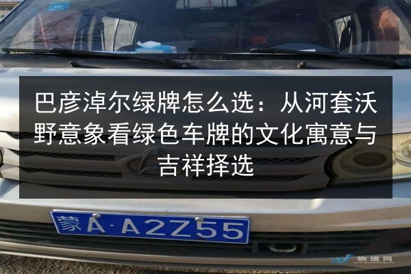 巴彦淖尔绿牌怎么选：从河套沃野意象看绿色车牌的文化寓意与吉祥择选 第3张