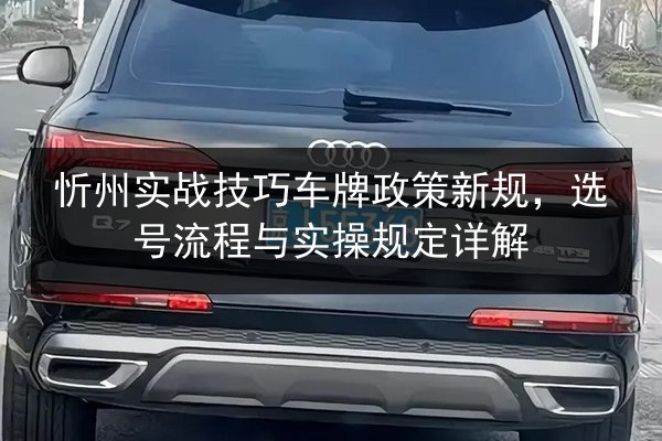 忻州实战技巧车牌政策新规，选号流程与实操规定详解