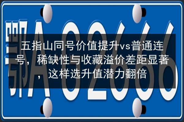 五指山同号价值提升vs普通连号，稀缺性与收藏溢价差距显著，这样选升值潜力翻倍 第2张