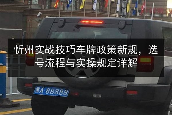 忻州实战技巧车牌政策新规,选号流程与实操规定详解 第2张 忻州实战技巧车牌政策新规,选号流程与实操规定详解 第2张