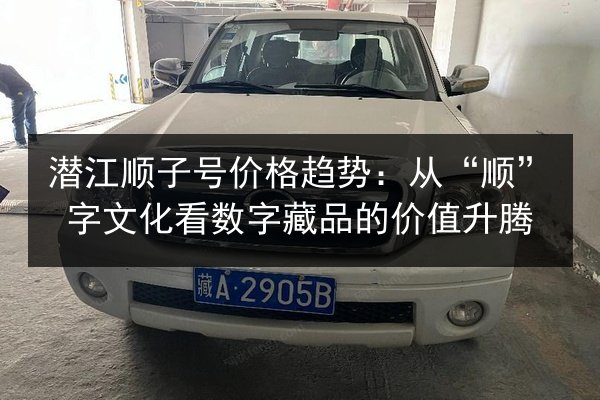 潜江顺子号价格趋势：从“顺”字文化看数字藏品的价值升腾