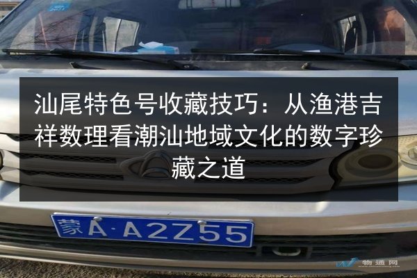 汕尾特色号收藏技巧：从渔港吉祥数理看潮汕地域文化的数字珍藏之道 第1张