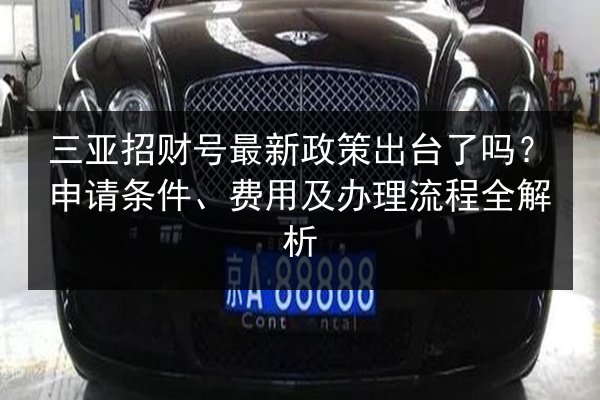三亚招财号最新政策出台了吗?申请条件、费用及办理流程全解析 第3张 三亚招财号最新政策出台了吗?申请条件、费用及办理流程全解析 第3张