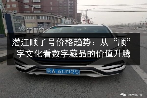 潜江顺子号价格趋势:从“顺”字文化看数字藏品的价值升腾 第2张 潜江顺子号价格趋势:从“顺”字文化看数字藏品的价值升腾 第2张
