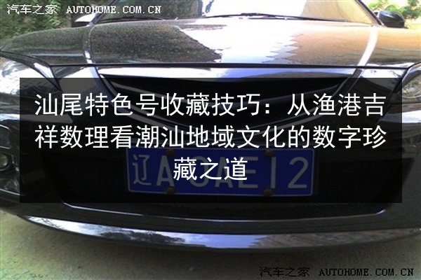 汕尾特色号收藏技巧：从渔港吉祥数理看潮汕地域文化的数字珍藏之道 第3张