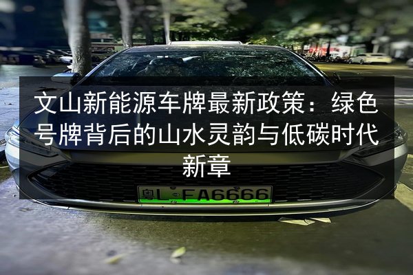 文山新能源车牌最新政策:绿色号牌背后的山水灵韵与低碳时代新章 第2张 文山新能源车牌最新政策:绿色号牌背后的山水灵韵与低碳时代新章 第2张