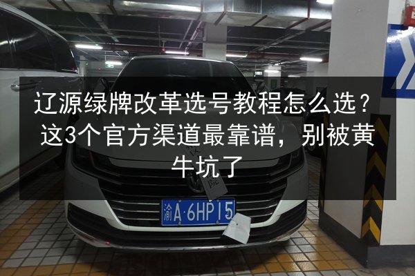 辽源绿牌改革选号教程怎么选？这3个官方渠道最靠谱，别被黄牛坑了