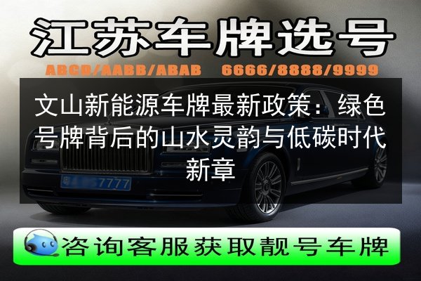 文山新能源车牌最新政策:绿色号牌背后的山水灵韵与低碳时代新章 第3张 文山新能源车牌最新政策:绿色号牌背后的山水灵韵与低碳时代新章 第3张
